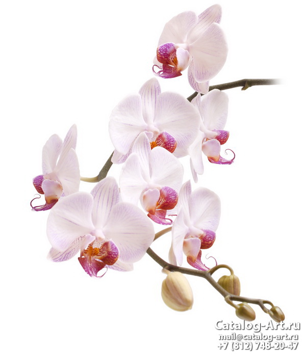 картинки для фотопечати на потолках, идеи, фото, образцы - Потолки с фотопечатью - Розовые орхидеи 45
